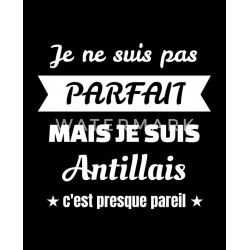 je ne suis pas parfait mais je suis antillais