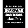 je ne suis pas parfait mais je suis antillais