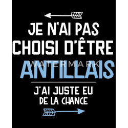 je n'ai pas choisi d'être antillais j'ai juste de la chance