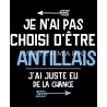 je n'ai pas choisi d'être antillais j'ai juste de la chance