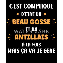 C' est compliqué d'être un beau goss et un antillais à la fois mais ça va je gère