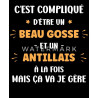 C' est compliqué d'être un beau goss et un antillais à la fois mais ça va je gère